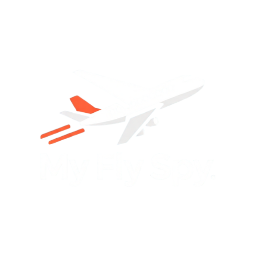 My Fly Spy